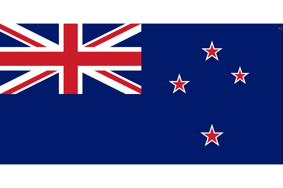  新西兰 